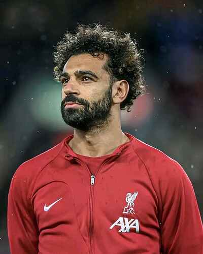 FB_IMG_16720784519571967