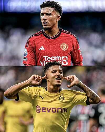 FB_IMG_17043902444795206