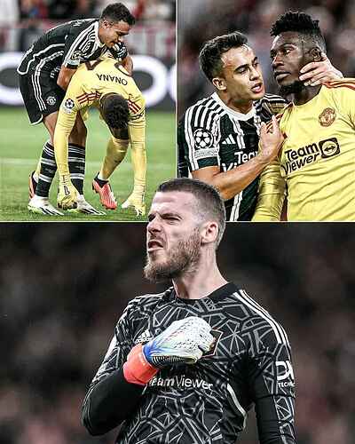 FB_IMG_16952395296690128