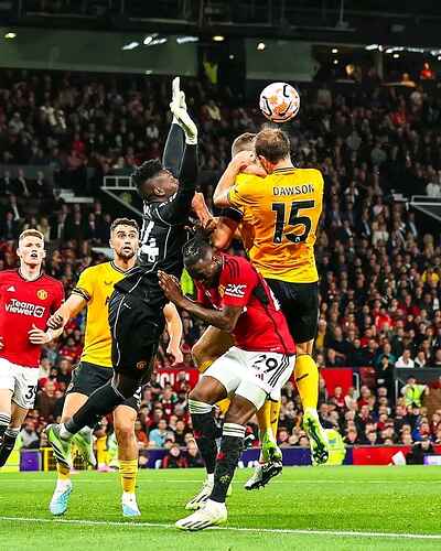 FB_IMG_16920494613175025