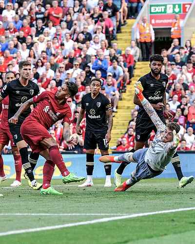 FB_IMG_16617061107171483